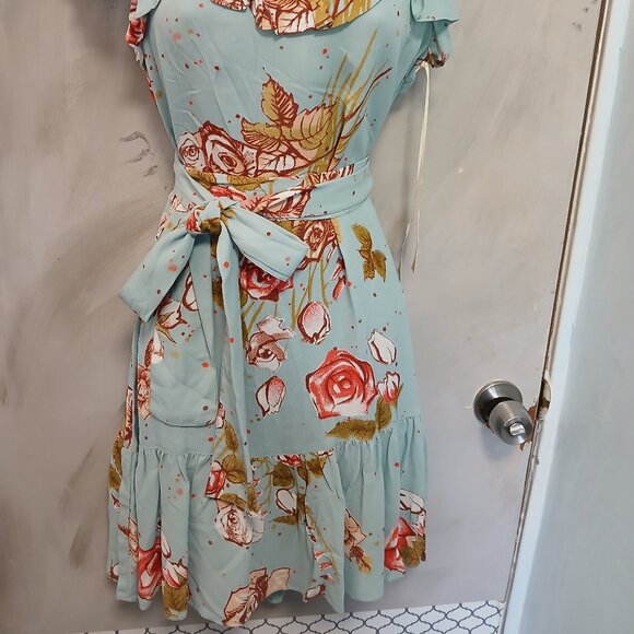 Uncle Frank Aqua Rose Dress - Picture 2 of 14